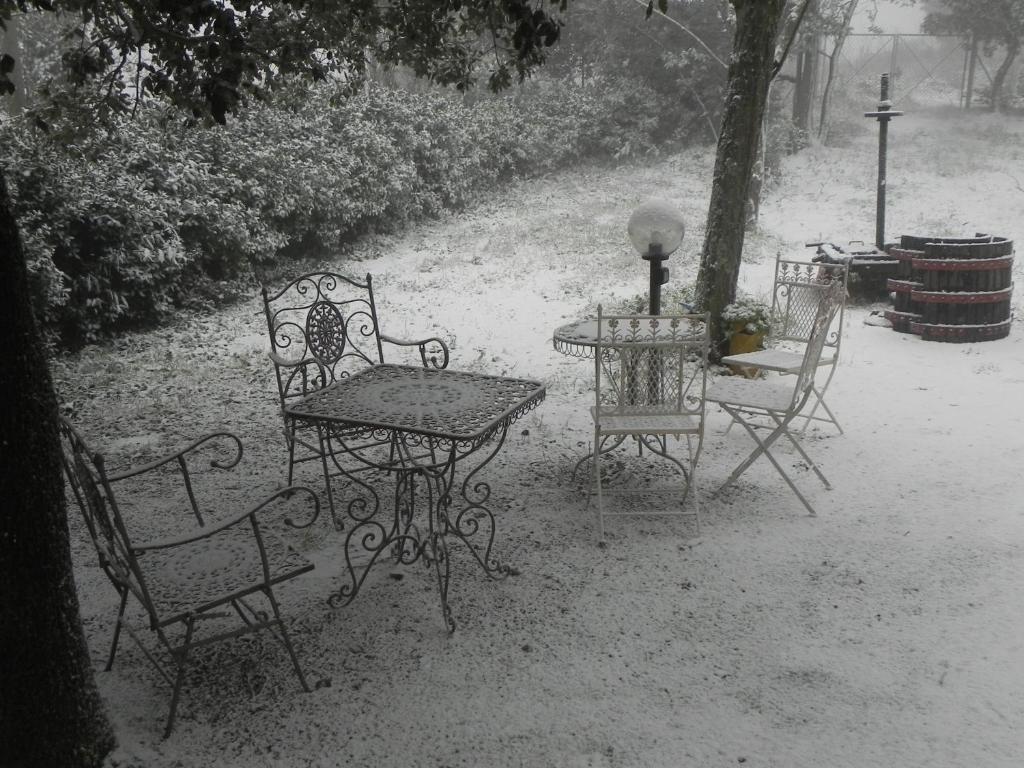 Pensjonat Locanda Di Terramare Gabbro Zewnętrze zdjęcie