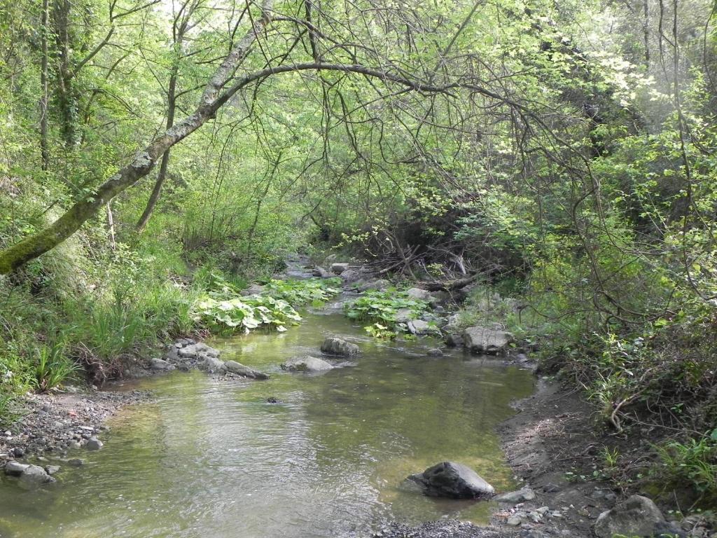 Pensjonat Locanda Di Terramare Gabbro Zewnętrze zdjęcie